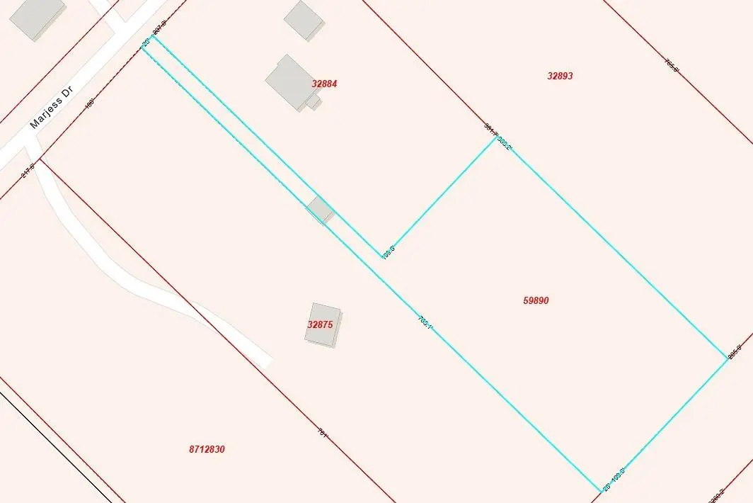 TBD Marjess DR, Cedar Creek, TX 78612