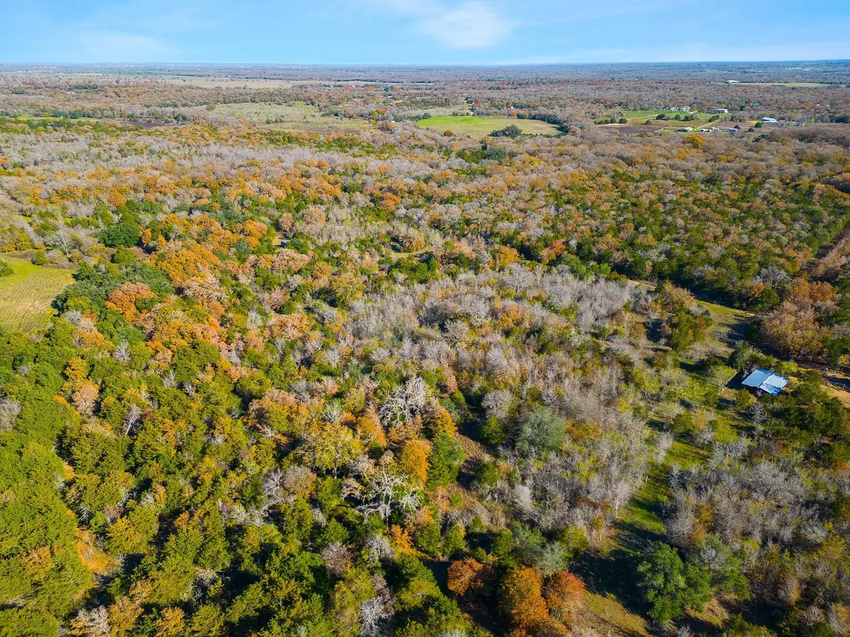 272 Deadwood RD, Cedar Creek, TX 78621
