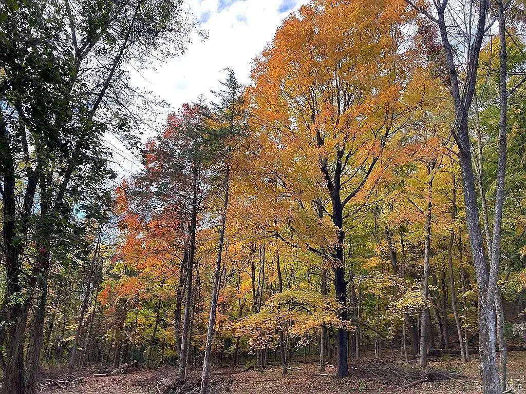 410 County Rt. 25, Hudson, NY 12434