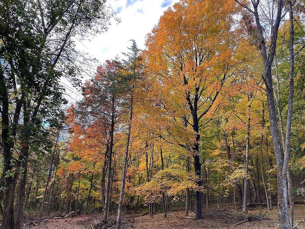 410 County Rt. 25, Hudson, NY 12434