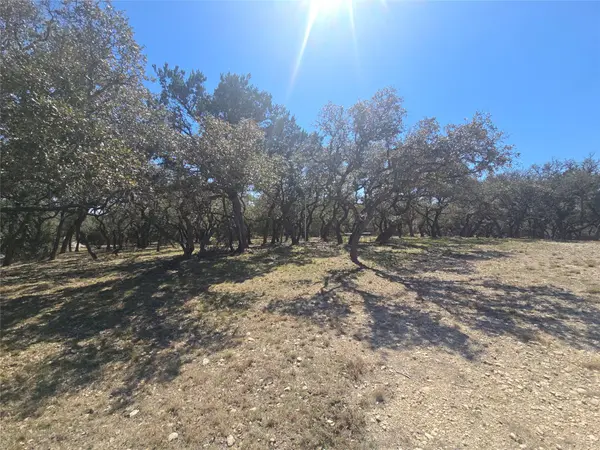 230 Bush Bok DR, Burnet, TX 78611