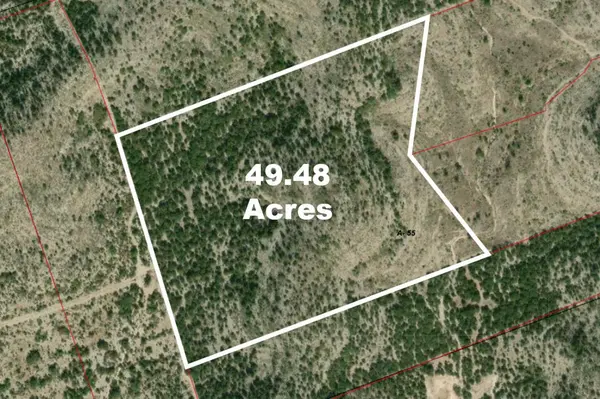 00 HWY 55 LOT 1,19, Uvalde, TX 78801