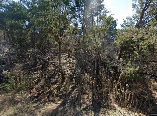 20203 Collier LN, Lago Vista, TX 78645