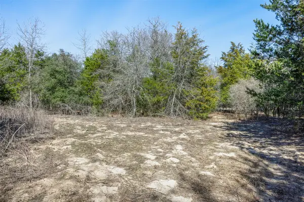 Lot 2 (4.81 Acres) Pauline LN, Caldwell, TX 77836