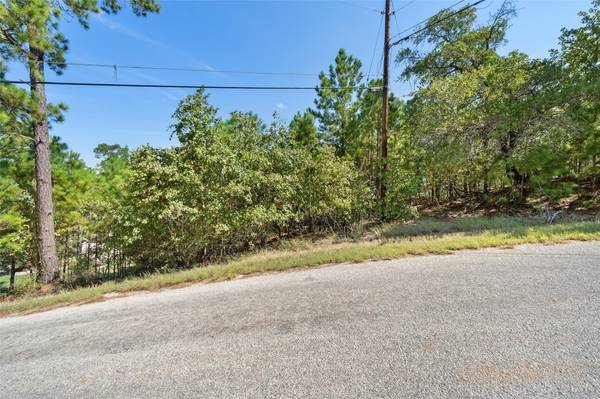TBD 847 Mamalu DR, Bastrop, TX 78602