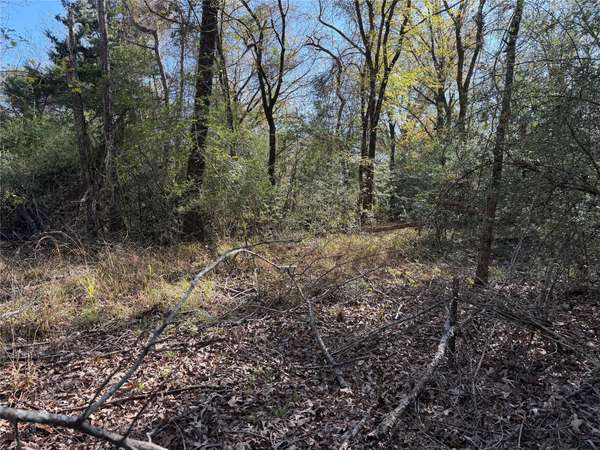 128 County Road 301 Tract 7, Fairfield, TX 75855