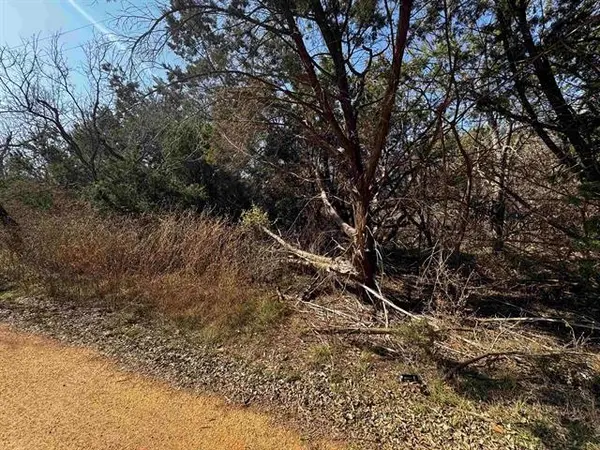 Lot 12 Longhorn DR, Burnet, TX 78611