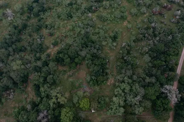 LOT 2 Private Road 4601, Waelder, TX 78959