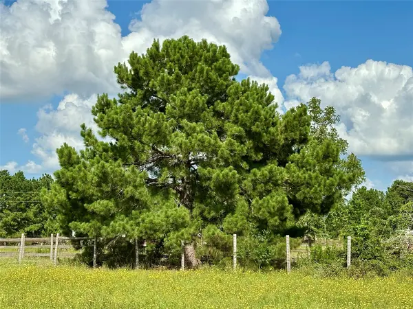 TBD Homestead CIR, Paige, TX 78659