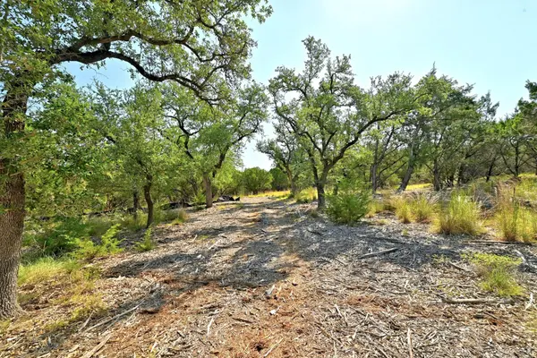 170 Night Wrangler LN, Driftwood, TX 78619