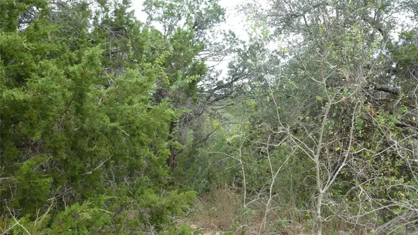 20815 Rawhide TRL, Lago Vista, TX 78645
