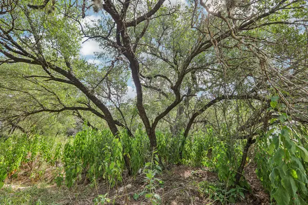12610 River BND, Austin, TX 78732