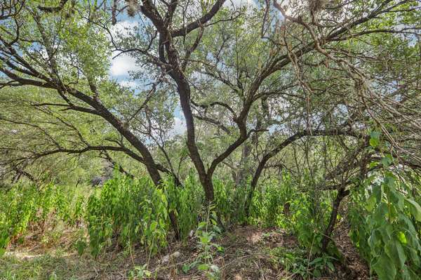 12610 River BND, Austin, TX 78732