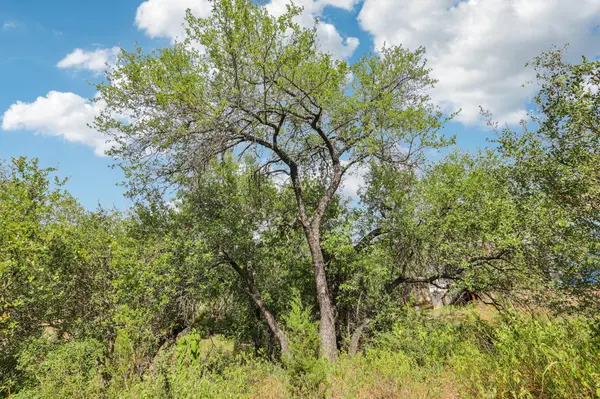 12610 River BND, Austin, TX 78732