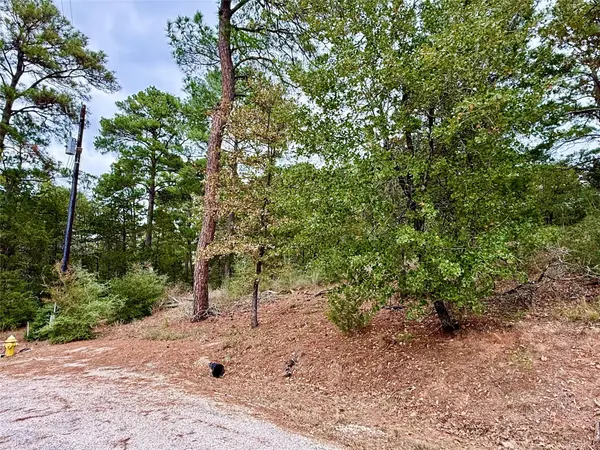 109 and 115 Olomana CT, Bastrop, TX 78602