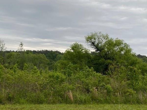 TBD Hwy 31, Chandler, TX 75758