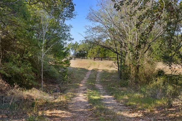 TBD Stockade Ranch RD, Paige, TX 78659