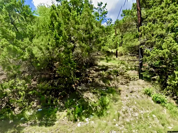 1353 Trail Pass DR, Canyon Lake, TX 78133