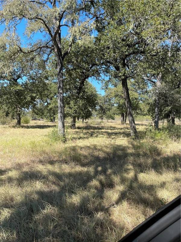 200 Hershal LN, Cedar Creek, TX 78612