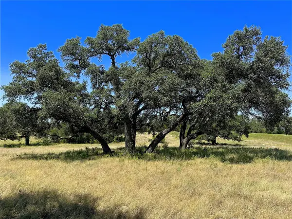 Lot 231 Winecup DR, Lampasas, TX 76550