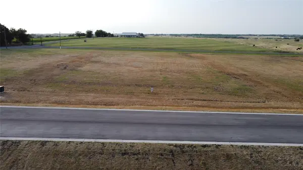 216 Tigerlily WAY, Thrall, TX 76578
