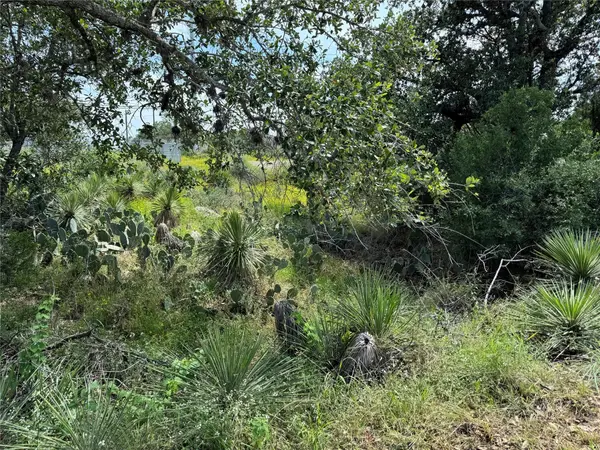 PID 17064 Sweetbriar DR, Granite Shoals, TX 78654