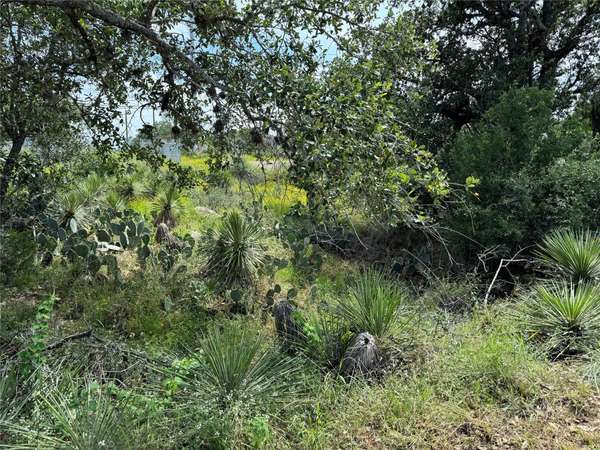 PID 17064 Sweetbriar DR, Granite Shoals, TX 78654