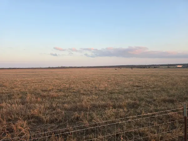 TBD County Road 116, Rogers, TX 76569