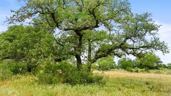 Lot 37 Vista Ridge DR, Round Mountain, TX 78663