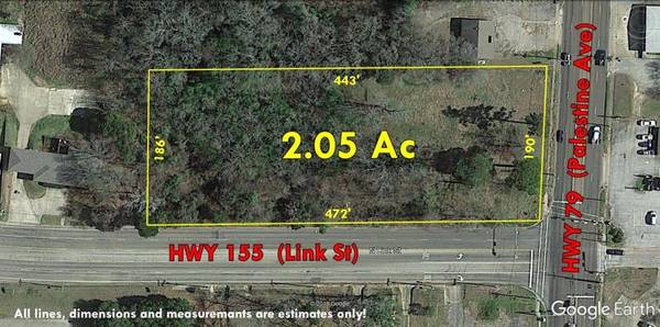 409 E Palestine Ave, Palestine, TX 75801