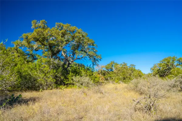 00 W McCarty LN, San Marcos, TX 78666