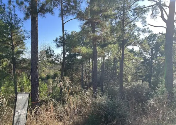 TBD Wahane, Bastrop, TX 78602