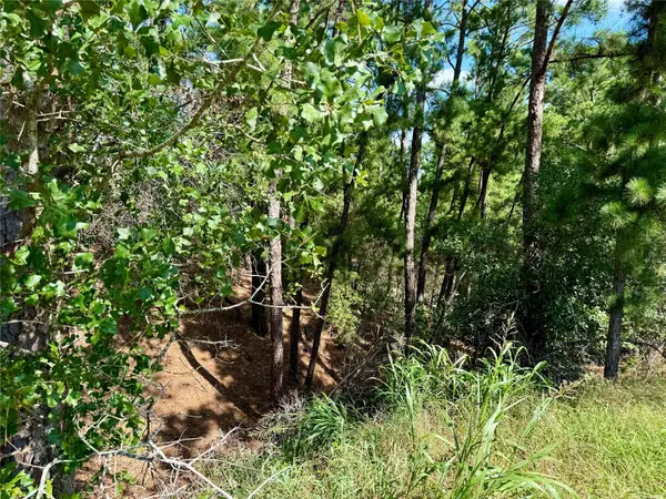 112, 114, 118 Kaimuki CT, Bastrop, TX 78602