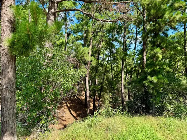112, 114, 118 Kaimuki CT, Bastrop, TX 78602