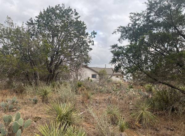 Lot 262 W Briarway DR, Granite Shoals, TX 78654