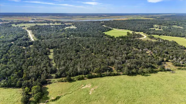 Lot 29 Walleye Creek TRL, Lexington, TX 78947