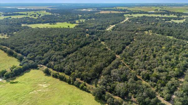 Lot 29 Walleye Creek TRL, Lexington, TX 78947