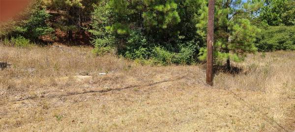 TBD Tall Forest DR, Bastrop, TX 78602