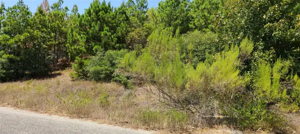 TBD Tall Forest DR, Bastrop, TX 78602