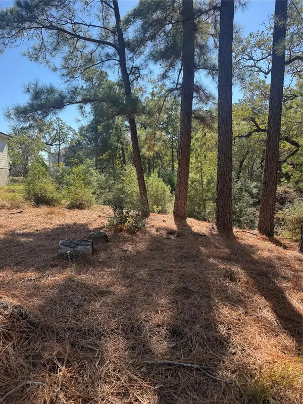 Lot 97 Kaelepulu DR, Bastrop, TX 78602
