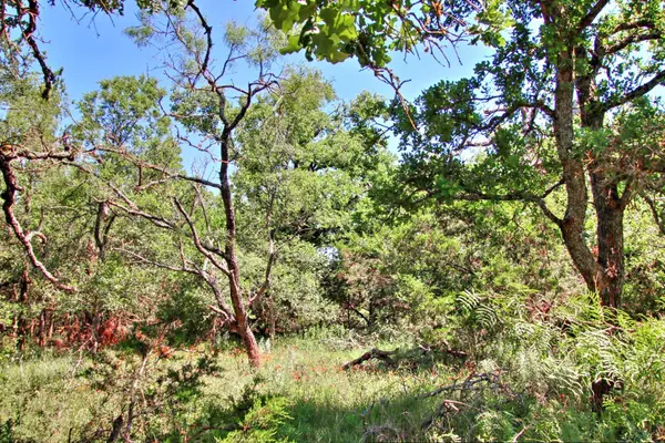 Lot 6 RM 1323, Willow City, TX 78675
