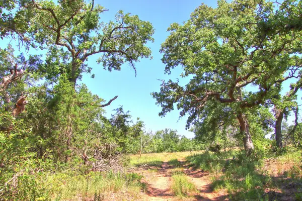 Lot 6 RM 1323, Willow City, TX 78675