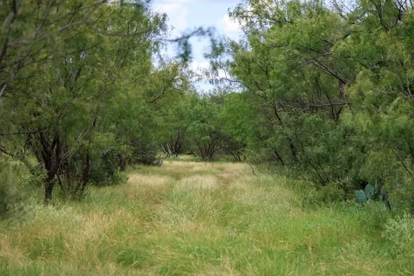 0 Ranch Road 648, Doss, TX 78618