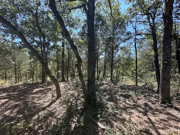 0 TBD lot 103 Ripple Brook DR, Bastrop, TX 78602