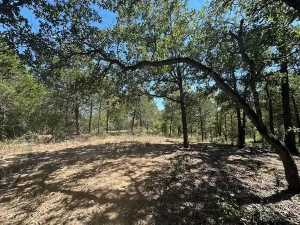 0 TBD lot 103 Ripple Brook DR, Bastrop, TX 78602