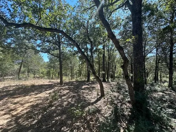 0 TBD lot 103 Ripple Brook DR, Bastrop, TX 78602