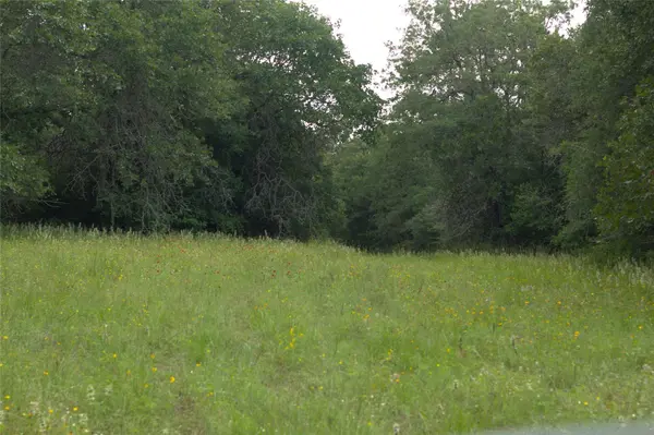 1742 County Road 413 N #TRACT 3, Lexington, TX 78947