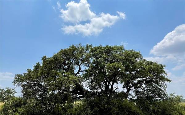 0 377 S. HWY, Brownwood, TX 76827