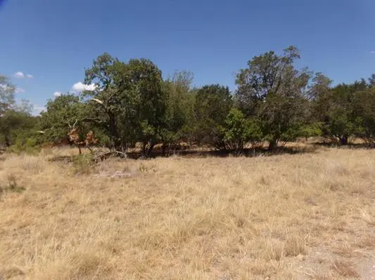 Lot 141 Pine Lane, Cottonwood Shores, TX 78657