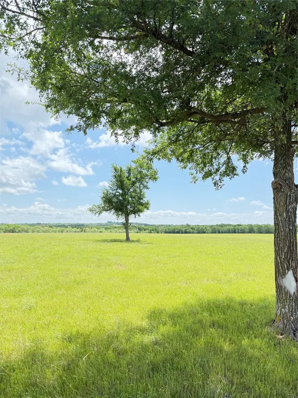 674 County Road 309, Rockdale, TX 76567